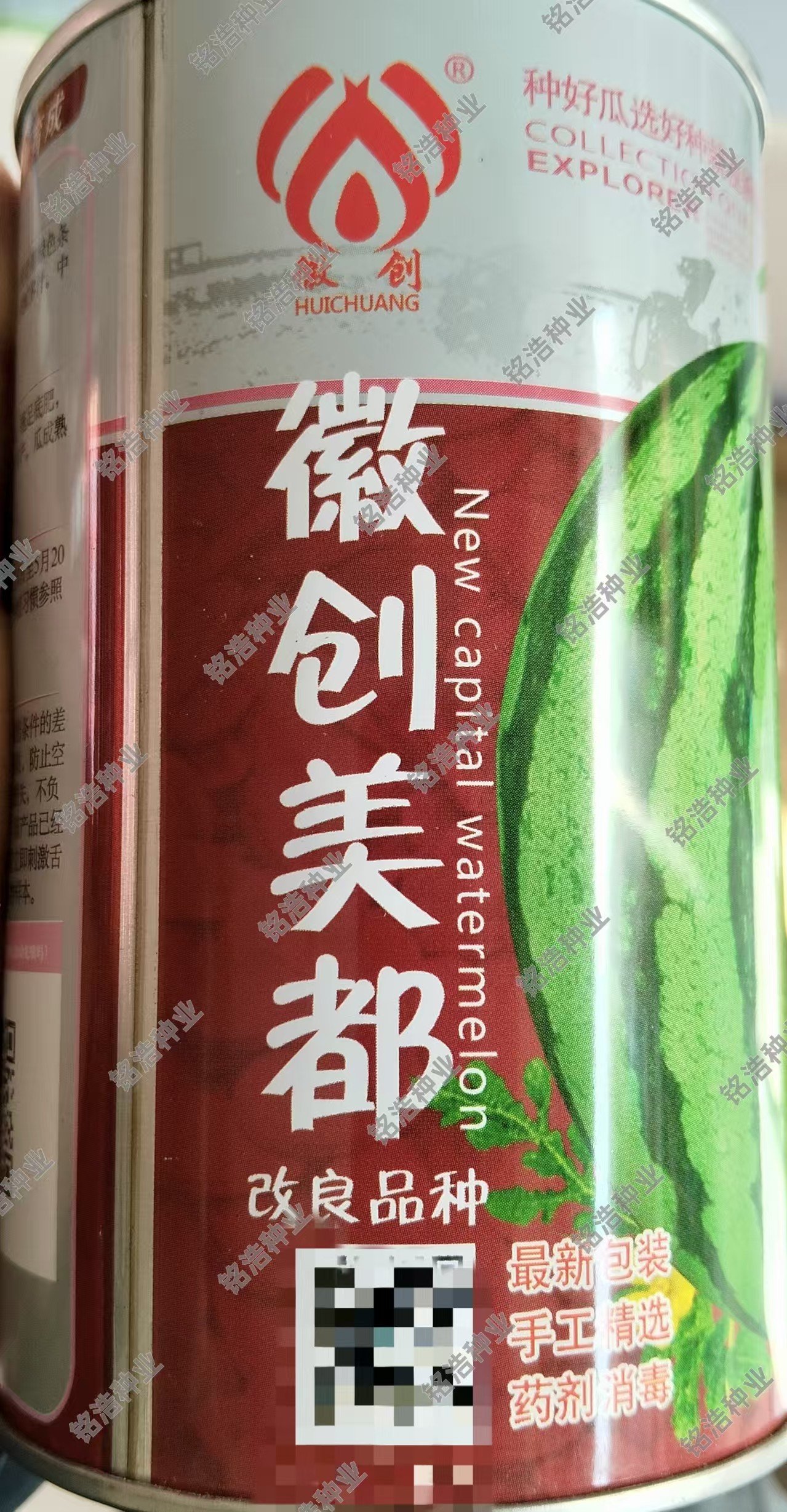 徽创美都西瓜种子花皮红瓤超甜甜脆爽口皮薄大西瓜籽春夏季水果孑
