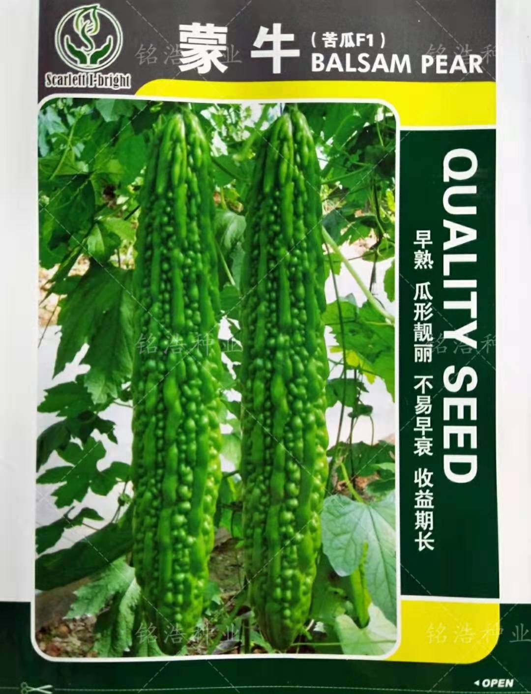高产浓绿苦瓜杂交种子种籽耐热耐低温疙瘩绿春秋季孑特大蔬菜蒙牛