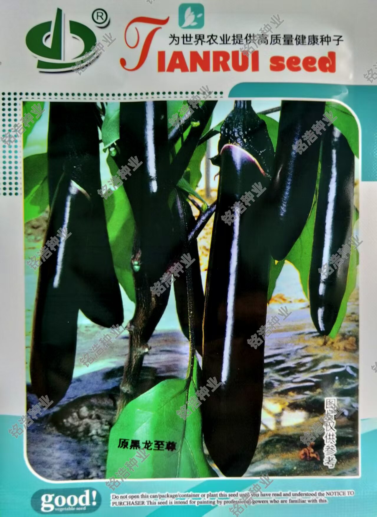 紫萼长茄杂交种子紫黑色顺直美观抗病高产硬度好籽生产用天瑞黑龙