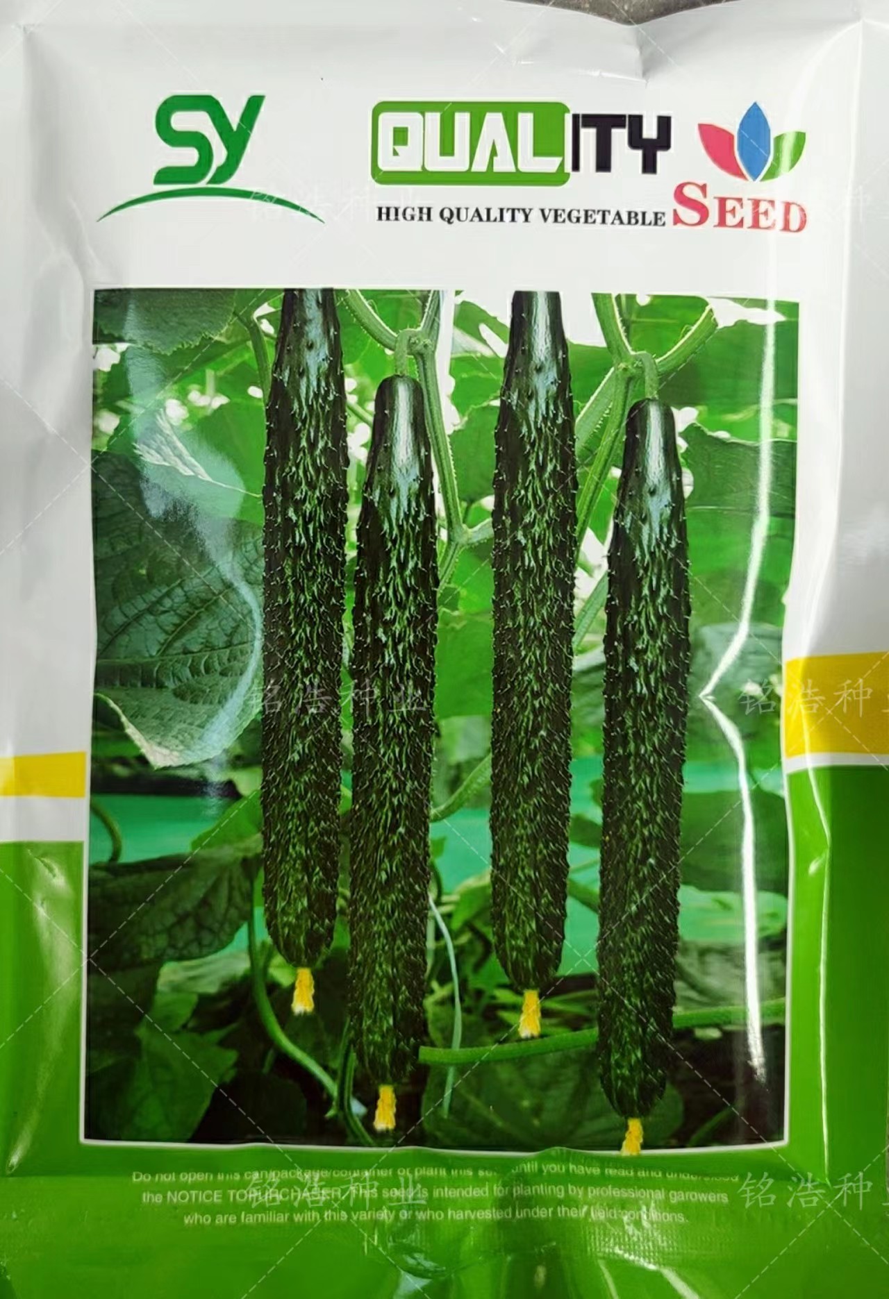 強雌黃瓜籽油亮瓜直密刺短把高產