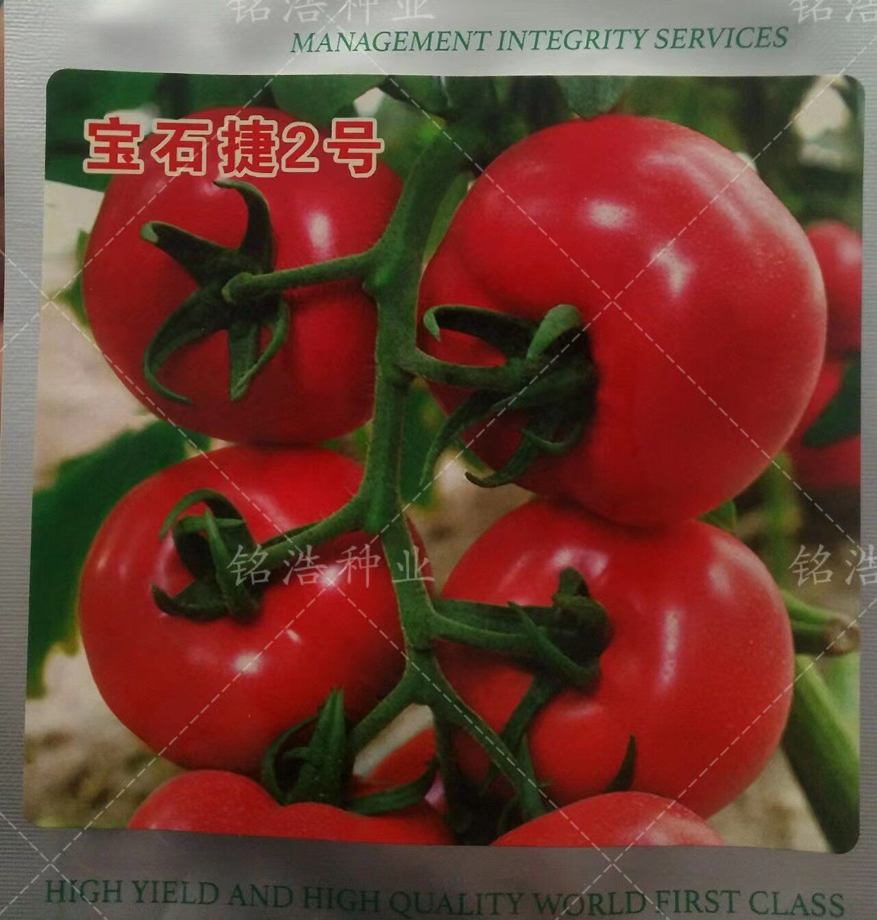 西红柿种子厚皮硬果型番茄籽早熟高产不逡不裂抗TY褪绿宝石捷2号