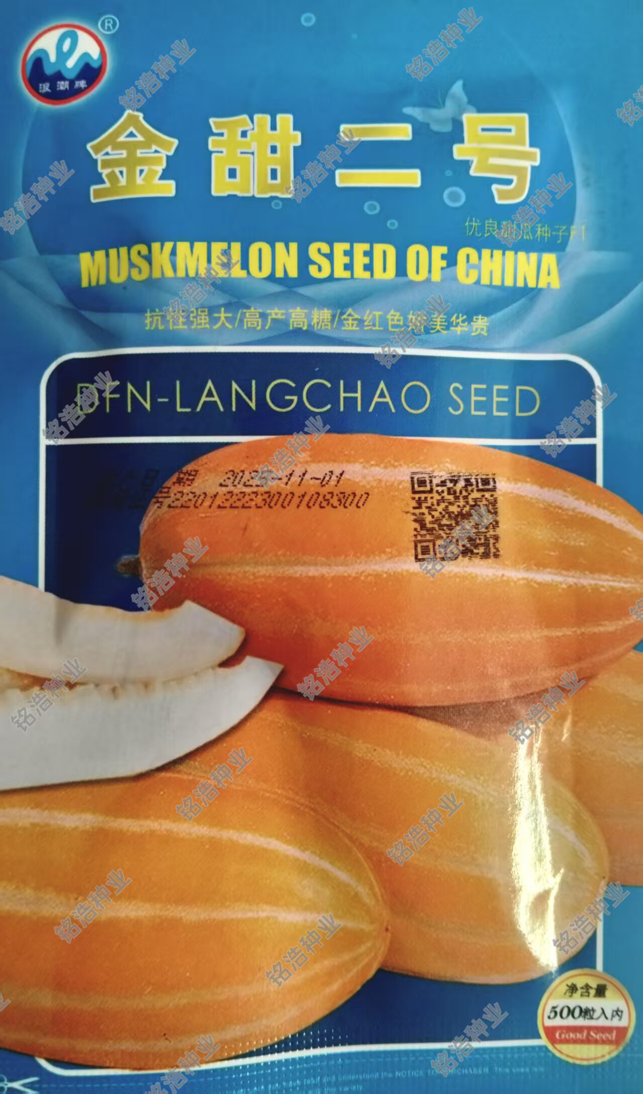 金红皮白肉甜瓜种籽子香甜瓜早熟高产抗病春夏季播水果孑金甜二号