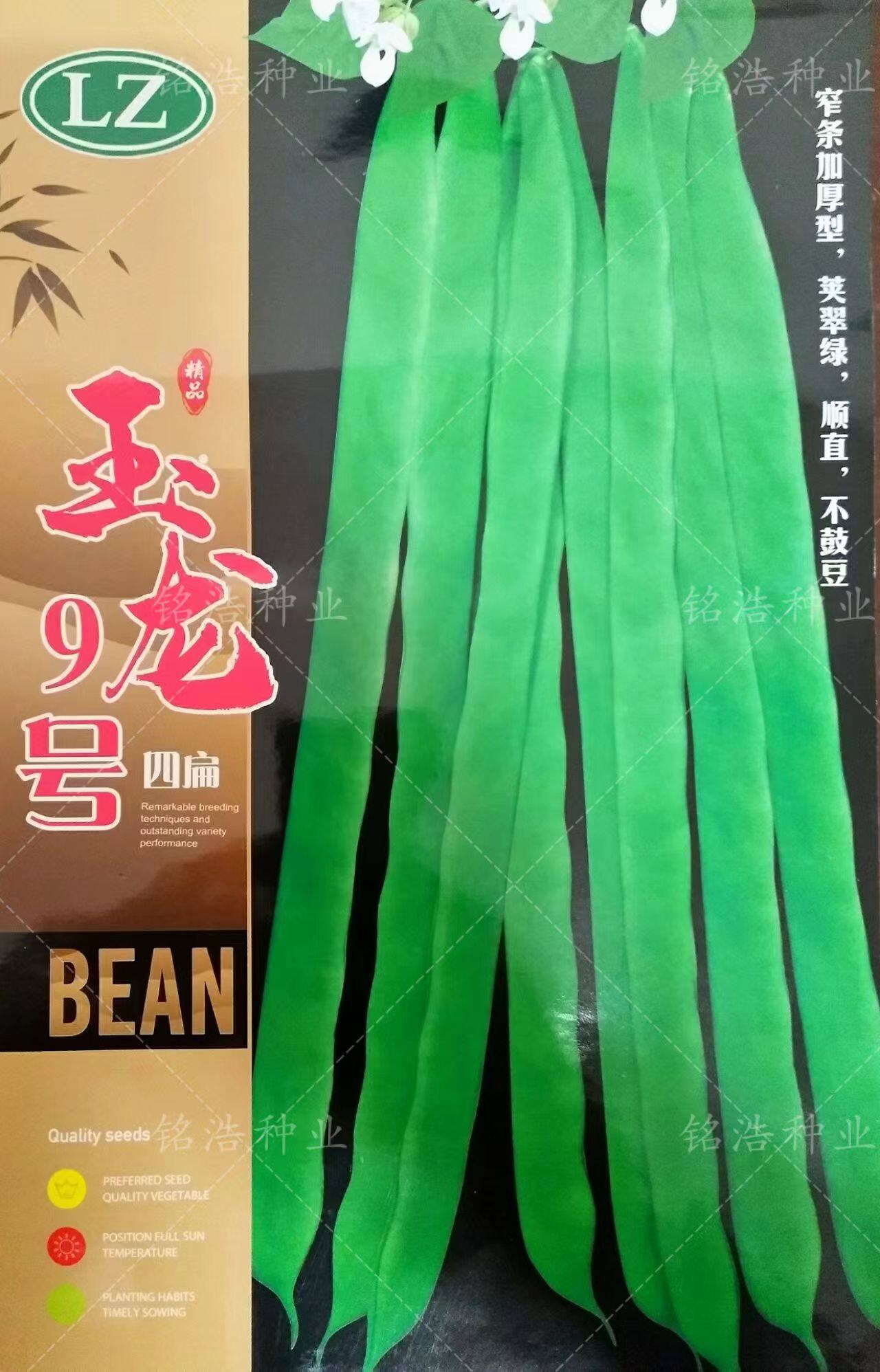四扁芸豆种子窄芸豆四扁