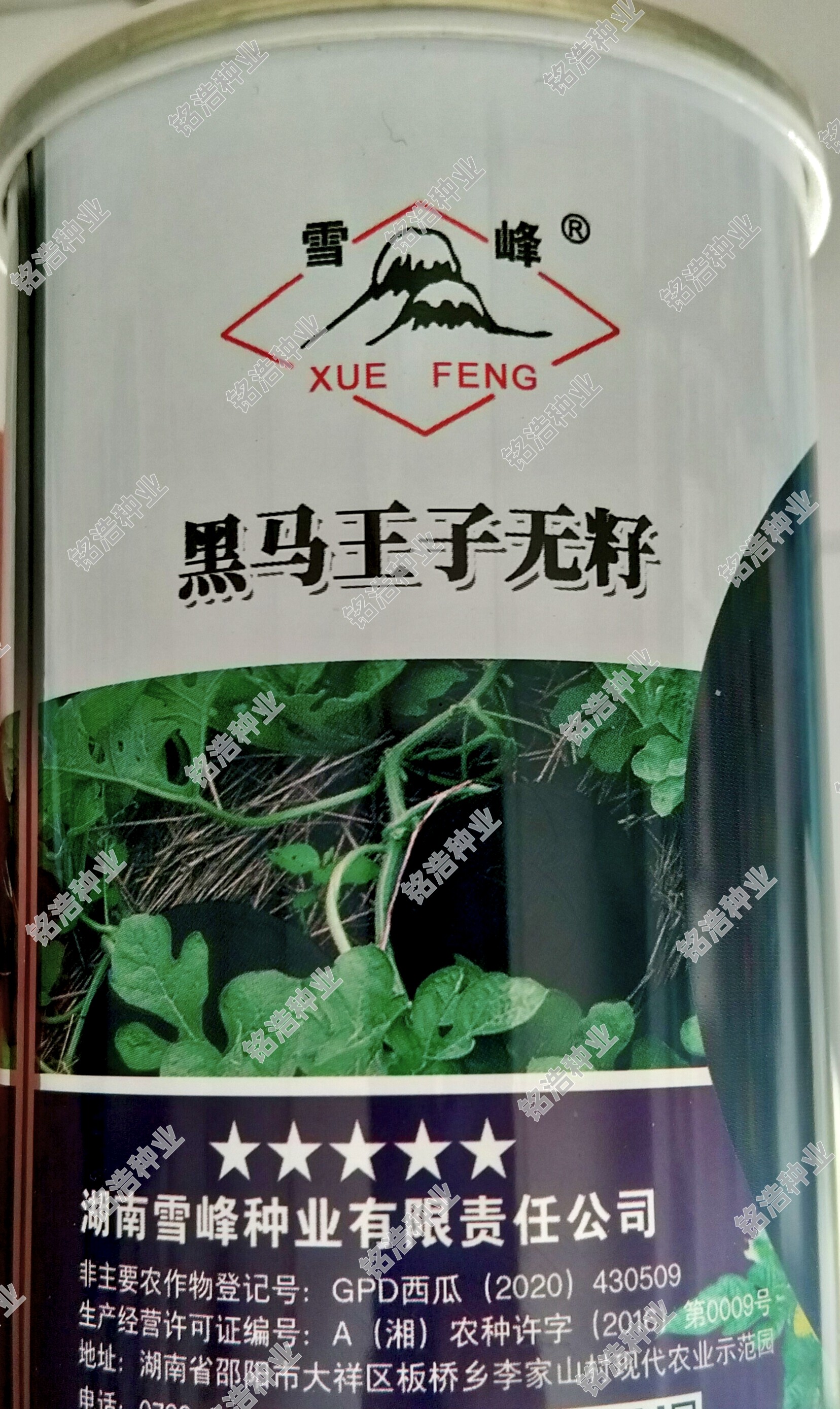 黑皮红瓤无籽西瓜种子超甜四季春夏季懒汉瓜种籽蔬菜种孑黑马王子