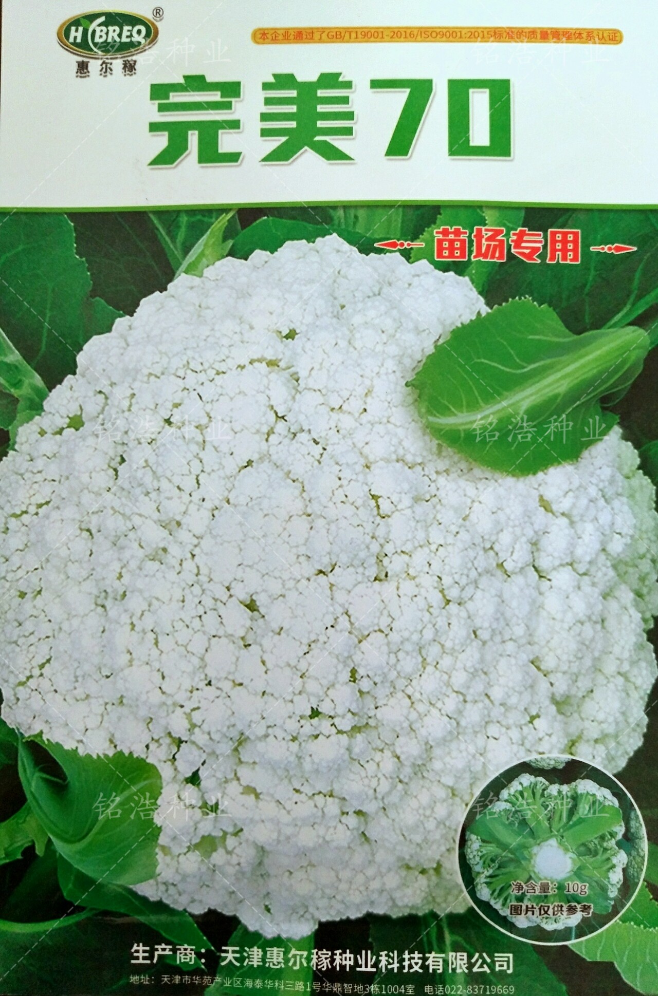完美70菜花有机，大面积用种