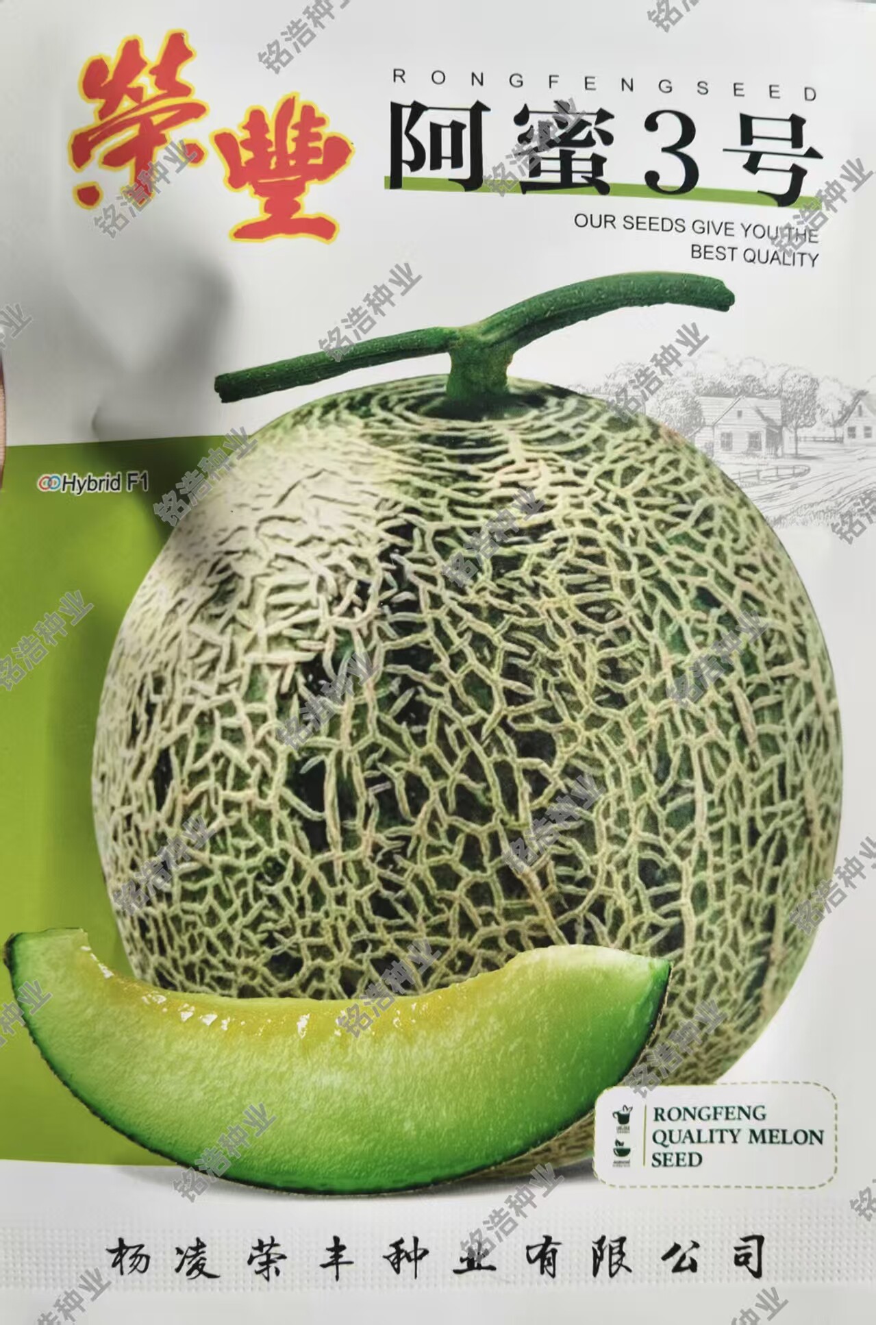 网纹皮甜瓜种子肉脆圆甜瓜种籽香瓜超甜春夏季水果蔬菜孑阿蜜3号