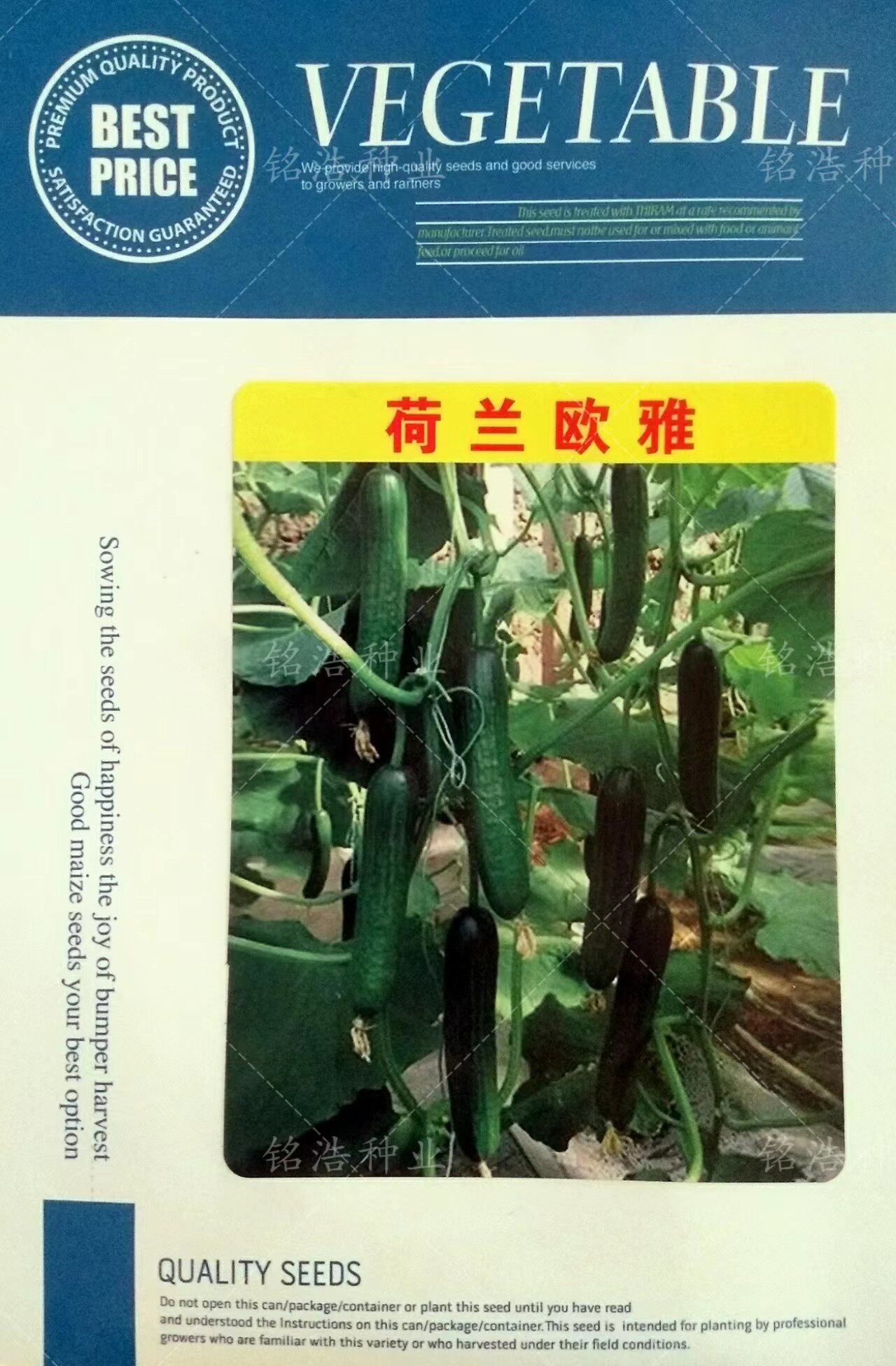 荷兰无刺水果小黄瓜种子阳台大棚蔬菜籽盆栽菜园春秋冬季播种欧雅