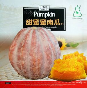 甜蜜蜜南瓜杂交种子超好吃超甜特面肉厚细腻春季播种冬储蔬菜种籽