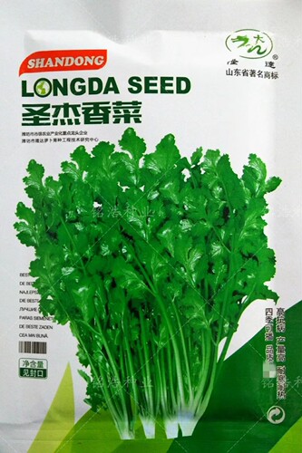香菜种子山东农家老品种早熟耐抽薹味浓老芫荽四季盆栽蔬菜籽圣杰
