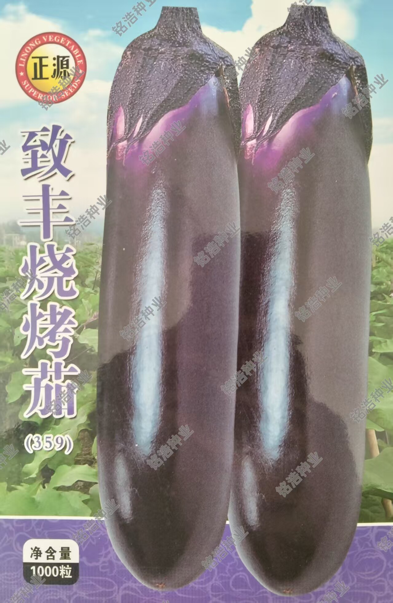 紫把长茄蔬菜种孑种籽春季秋冬季播种子籽顺直适合烧烤致丰烧烤茄