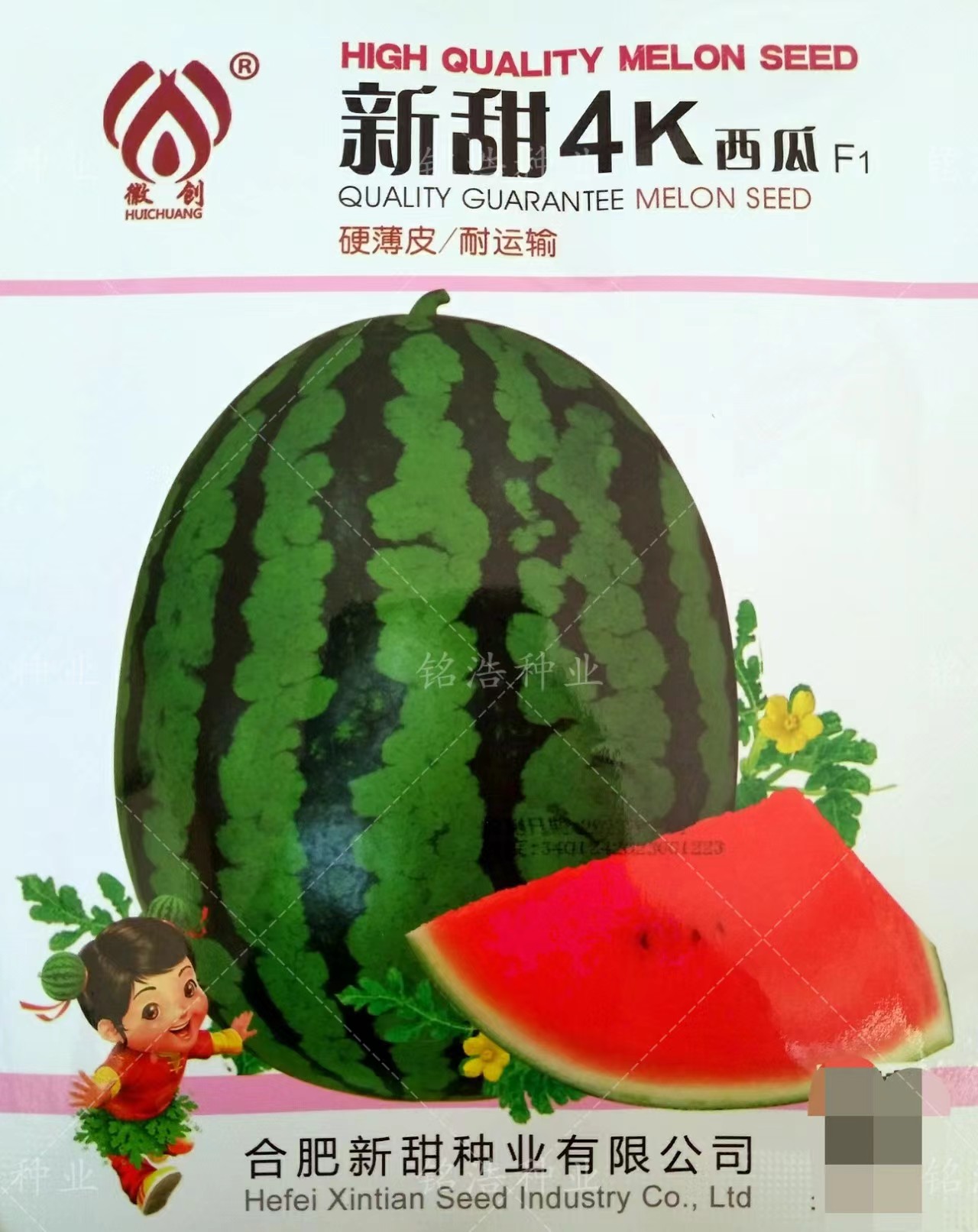 薄皮沙瓤礼品小西瓜种籽