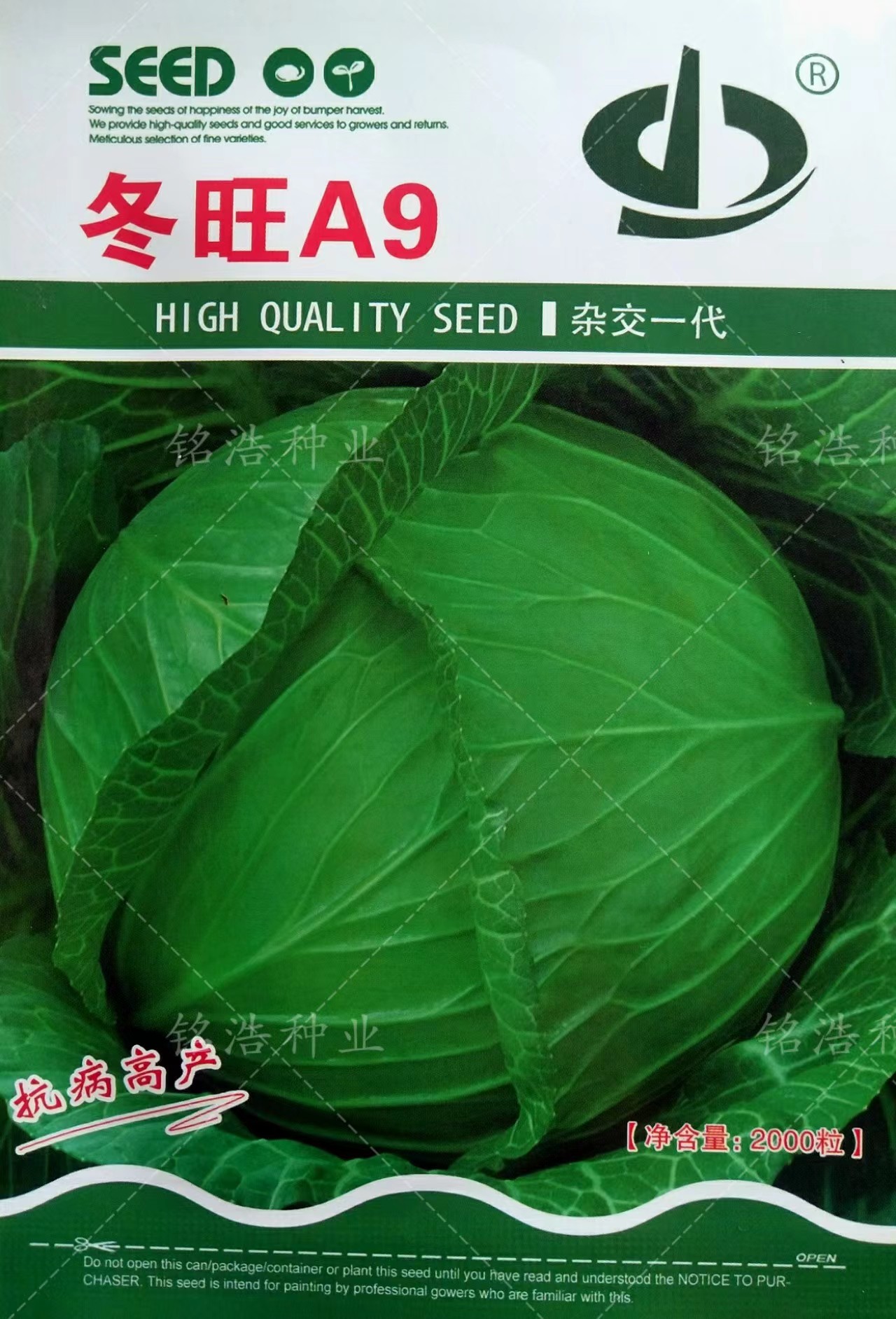 扁球形甘蓝种子卷心菜包心菜包菜种籽大头菜籽早熟高产蔬菜冬旺A9