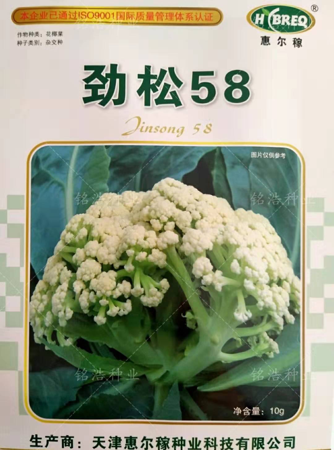 青梗松花菜种子高产花菜籽花椰菜秋季播蔬菜孑农家大面积用劲松58