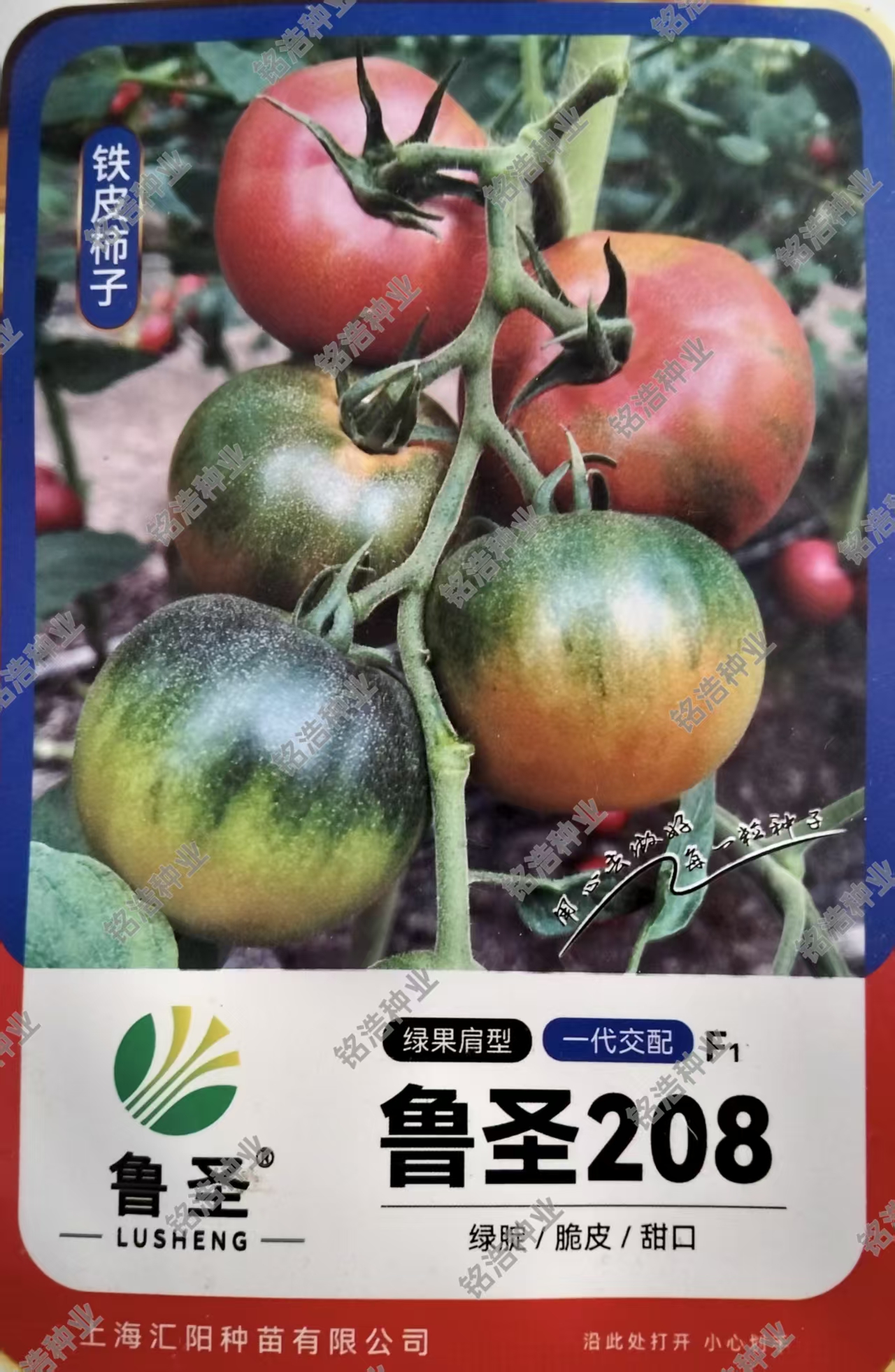 中果草莓番茄种子酸甜番茄铁皮柿子肉厚水果西红柿蔬菜籽鲁圣208