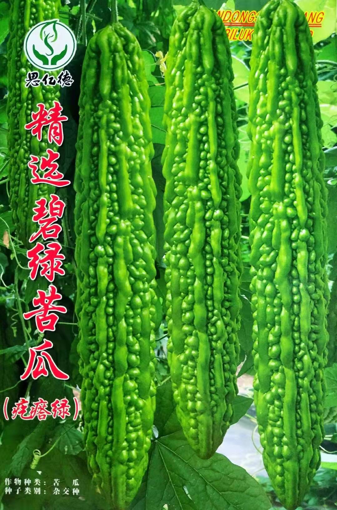 寿光疙瘩耐低温碧绿苦瓜蔬菜种子