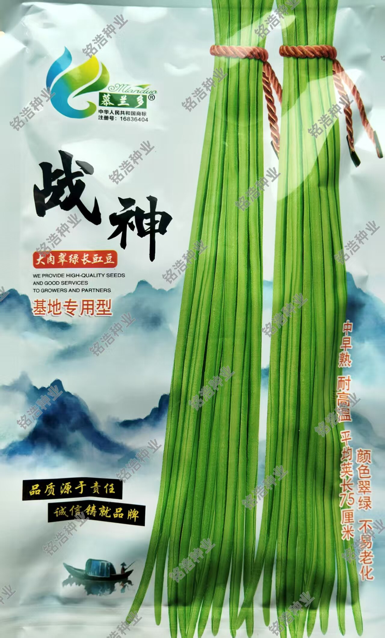 翠绿条豇豆种子早熟特长抗病高产蔬菜籽春夏秋季播农家豆角子战神