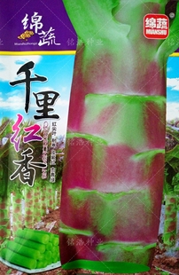 红莴笋种子红皮绿肉莴苣籽春秋冬季 播抗病高产耐寒籽莴笋蔬菜品红