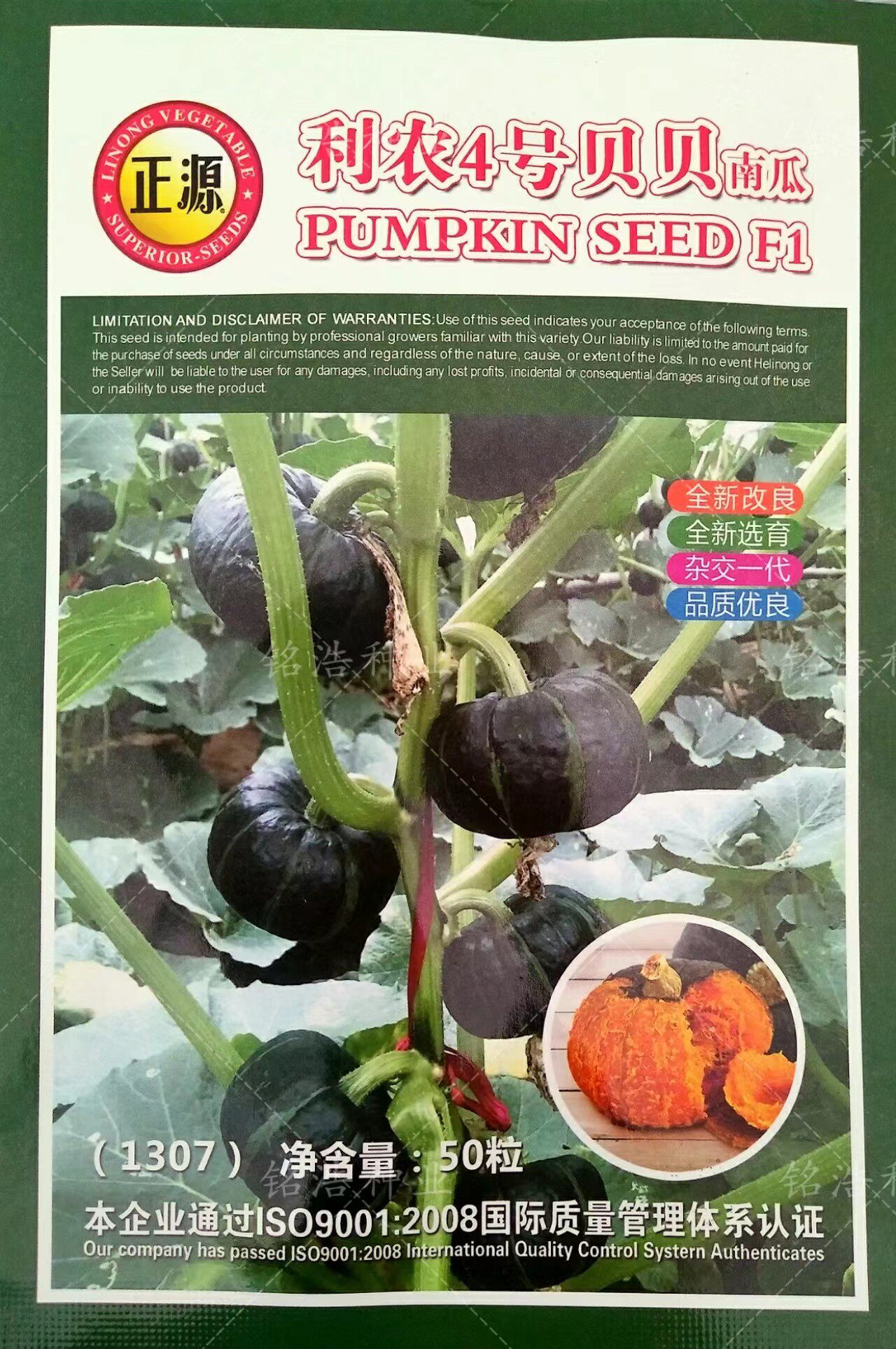 迷你小南瓜种子高产板栗味
