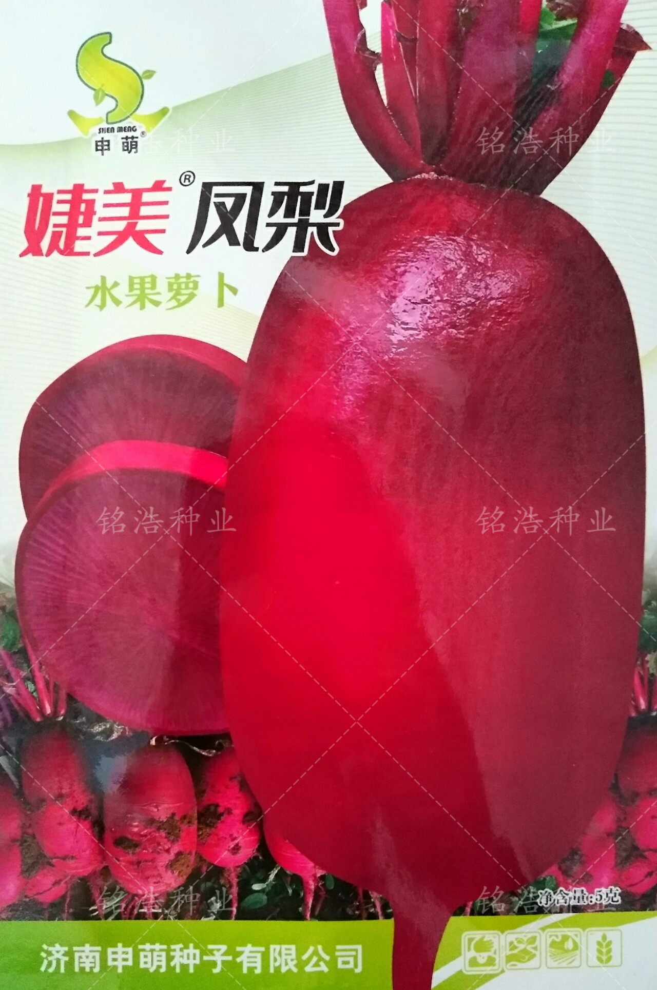凤梨萝卜脆甜多汁不糠心