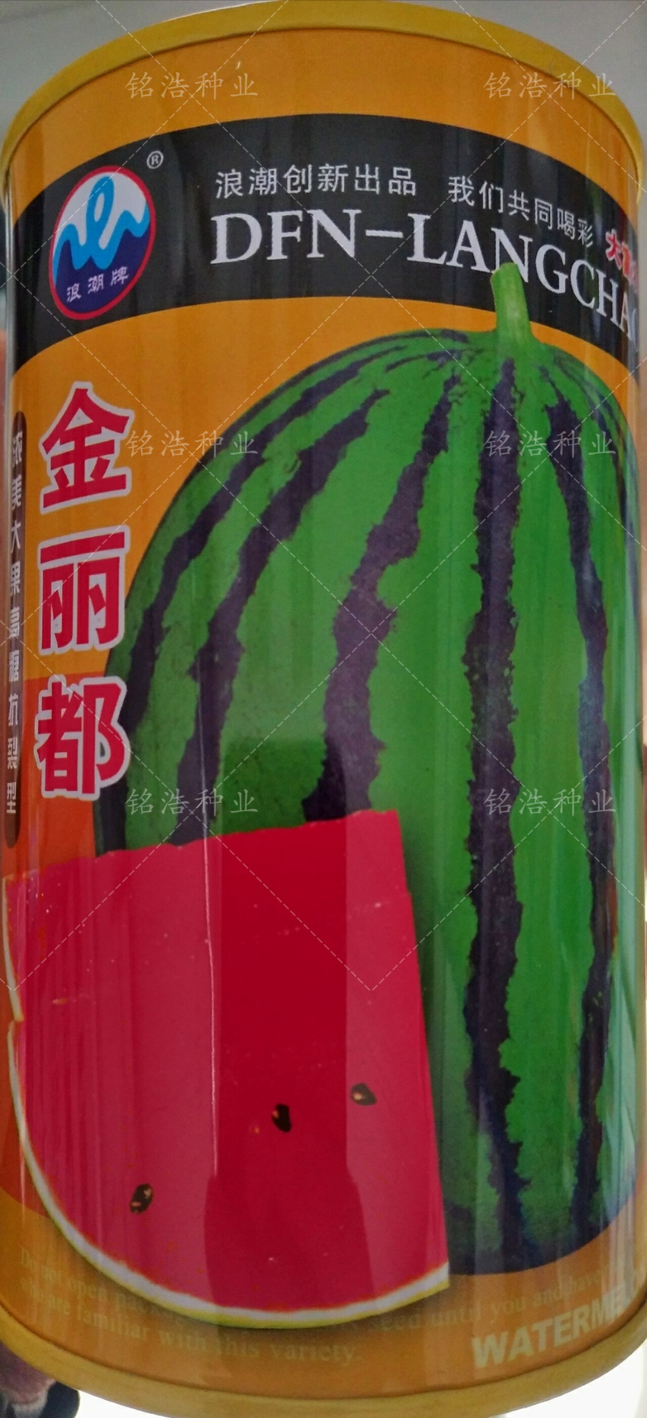 花皮红瓤西瓜种子种籽抗病强超甜耐裂南北春夏大田盆栽种孑金丽都
