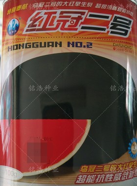 大果型早生西瓜黑皮红瓤