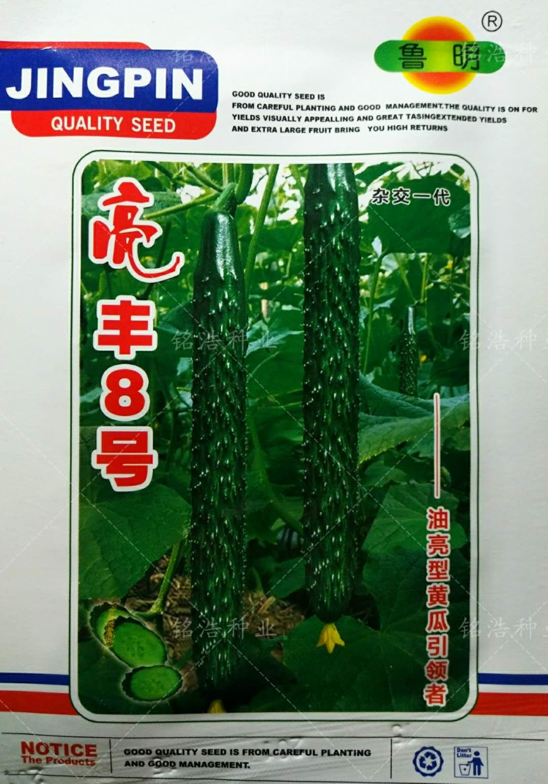 耐热油亮短把绿瓤亮丰8号