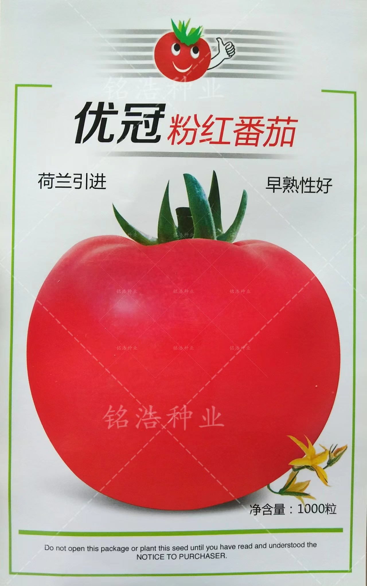 西红柿种子高产抗病高圆粉色番茄种孑早春秋季越冬用大型硬果优冠