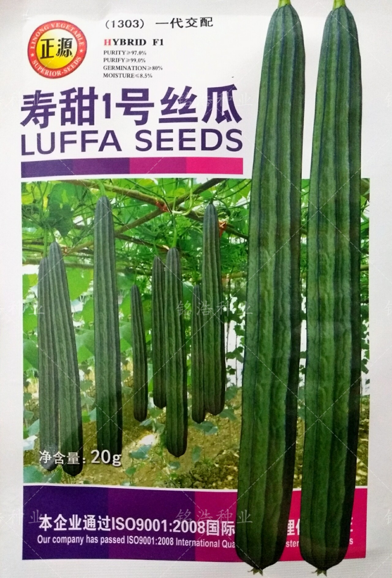 农家棱丝瓜八角丝瓜种子高产丝瓜种籽四季种农家特长丝瓜寿甜一号