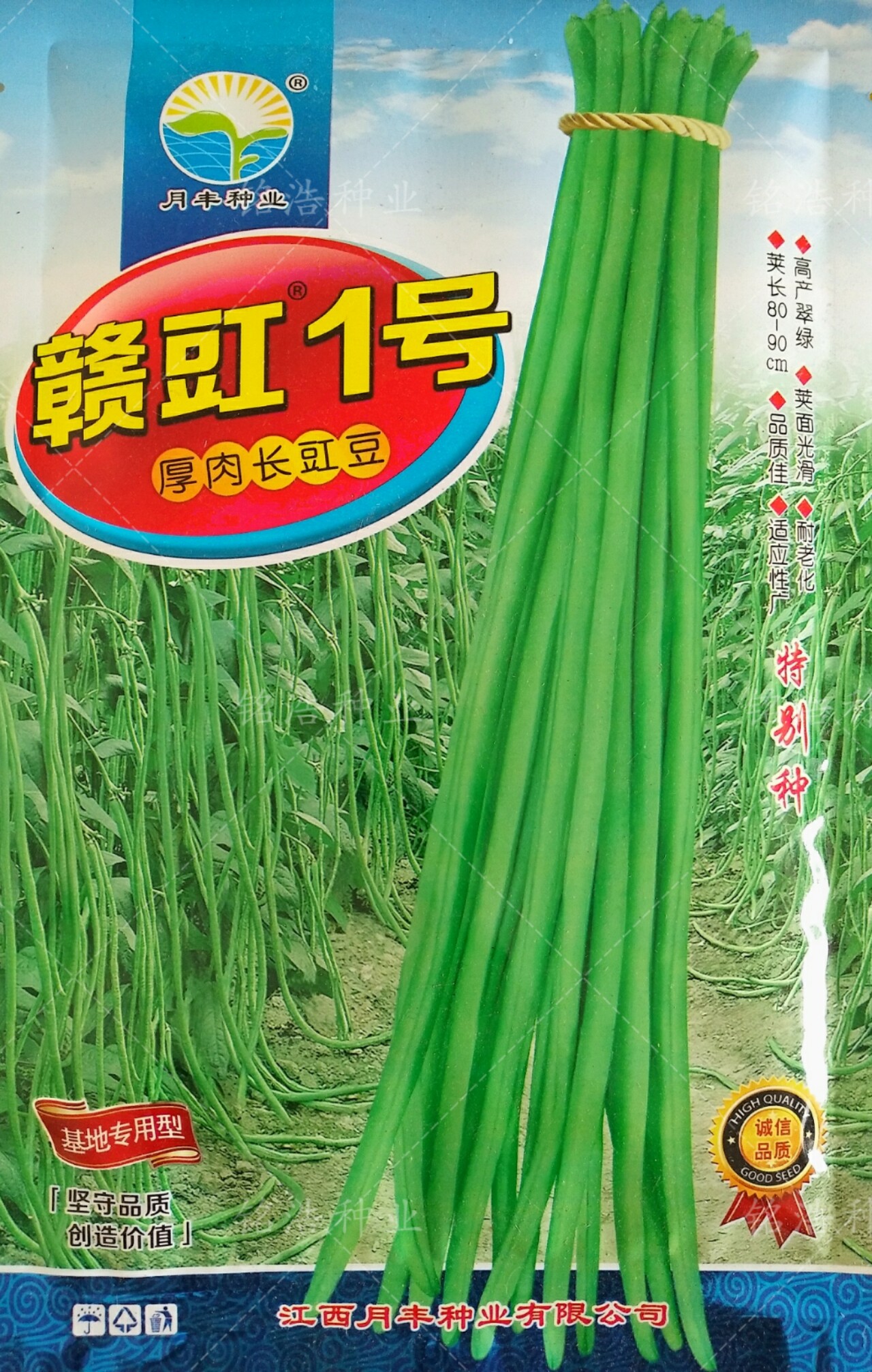翠绿条高产豇豆种子特长高产春夏秋季播豆角种籽蔬菜种孑赣豇1号