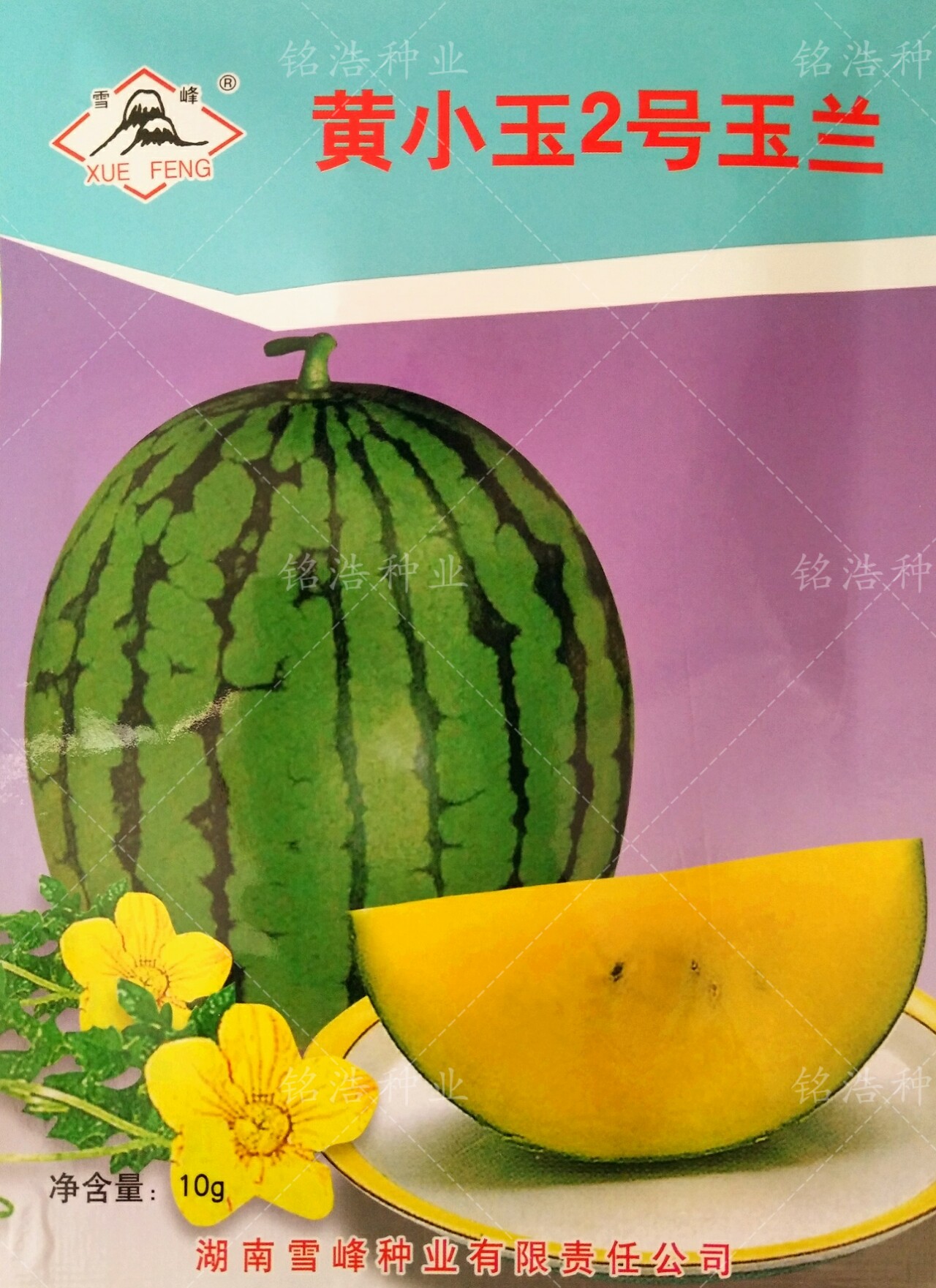 黄小玉2号玉兰花皮黄瓤西瓜