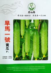 强雌旱黄瓜种子春秋季早熟小青瓜水果型基地大棚蔬菜籽孑旱马一号