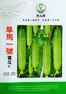 强雌旱黄瓜种子春秋季早熟小青瓜水果型基地大棚蔬菜籽孑旱马一号