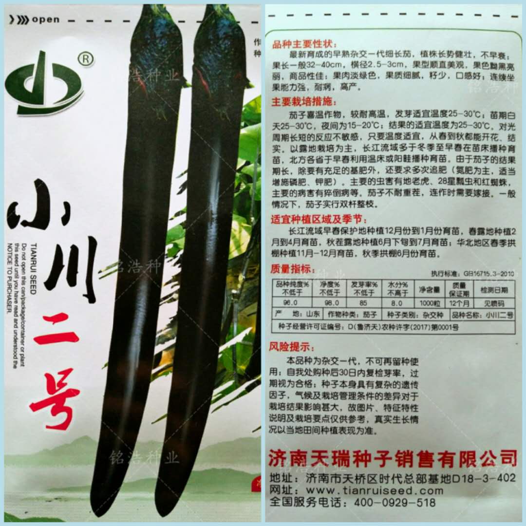 细长茄种子大面积种植线茄早熟高产黝黑亮丽采收期长杂交种蔬菜籽