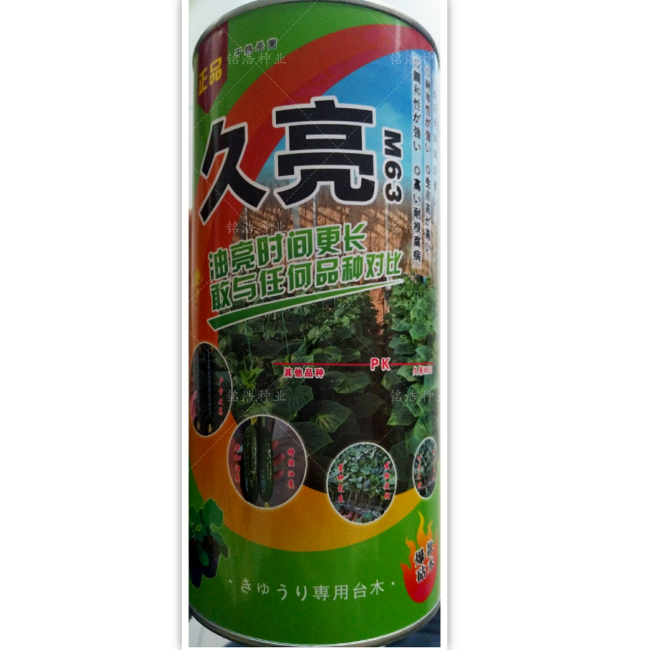 嫁接黄瓜砧木种子白南瓜籽根系强黄瓜嫁接专用高产砧木籽包邮久亮