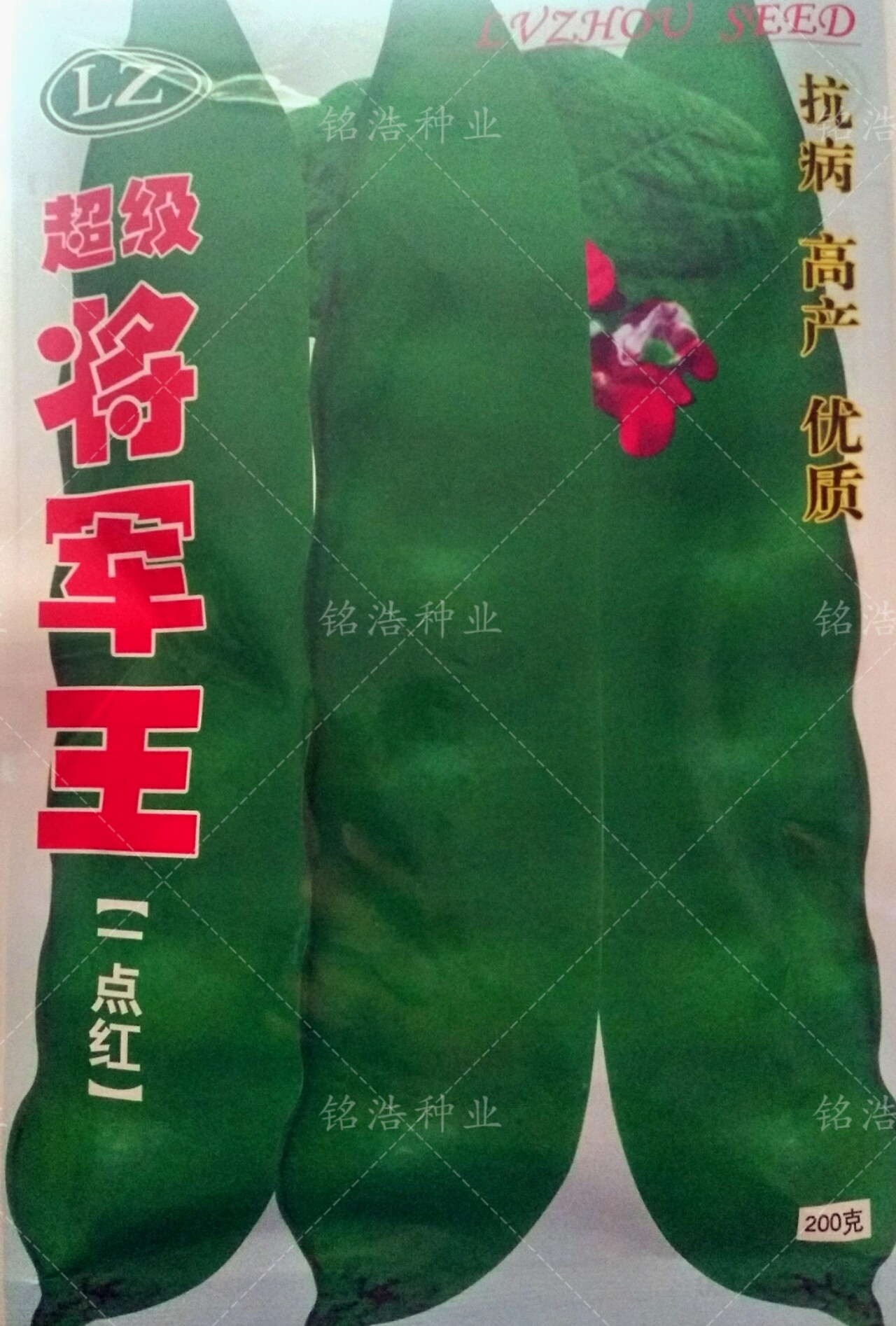 东北宽油豆角种子开锅烂无筋高产抗病一点红油豆角种籽超级将军王图片