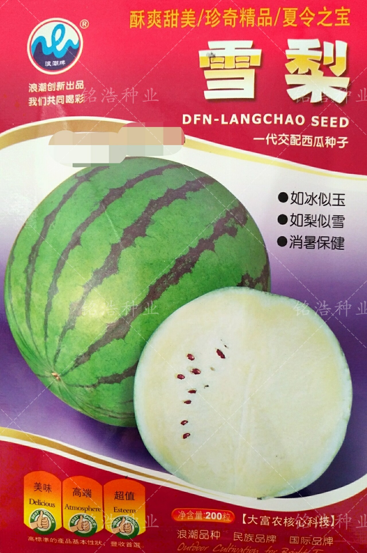 画皮白瓤特色礼品新西瓜