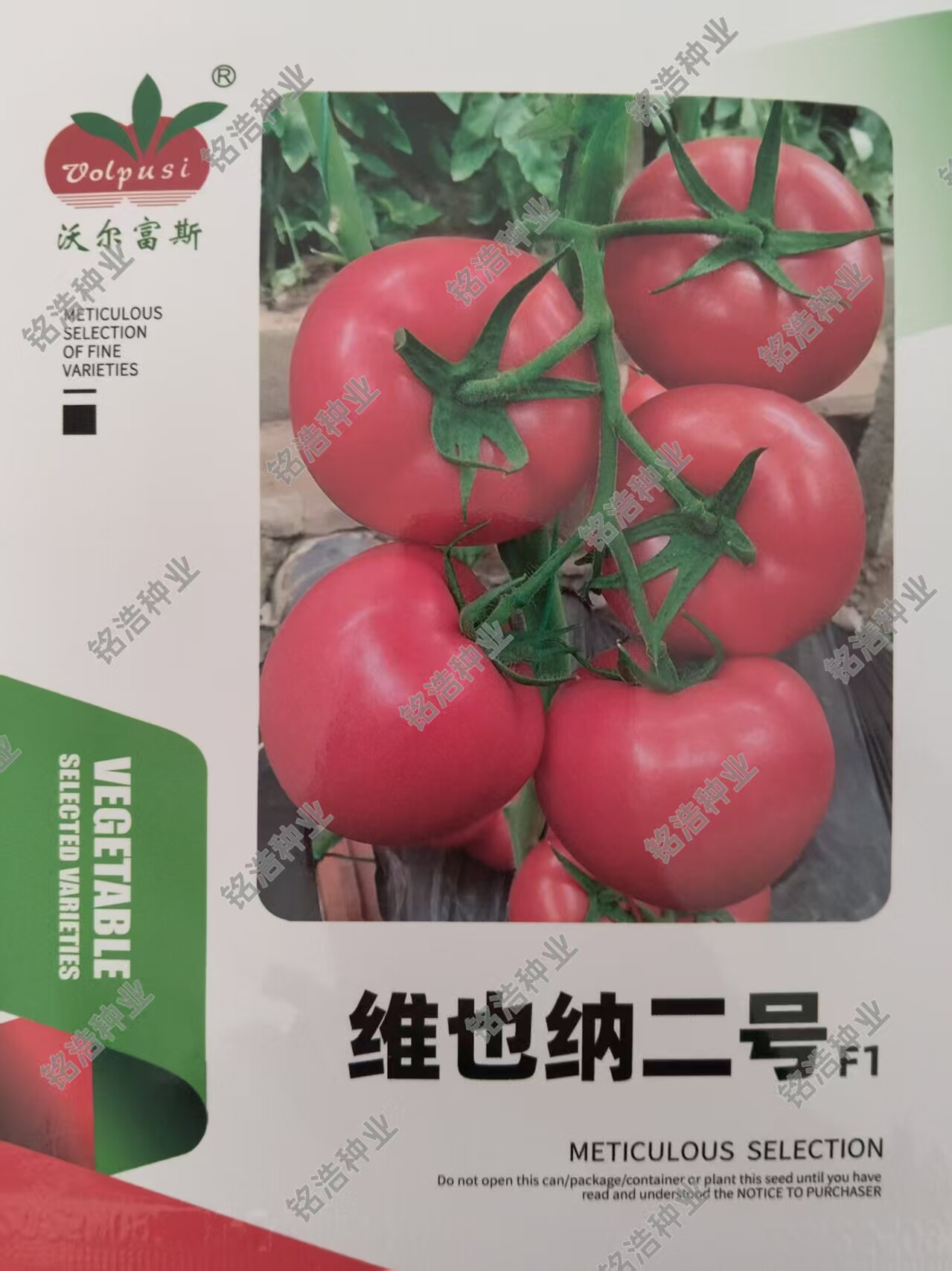 春秋西红柿种子圆形硬果大果粉番茄籽抗TY高产不逡不裂维也纳二号