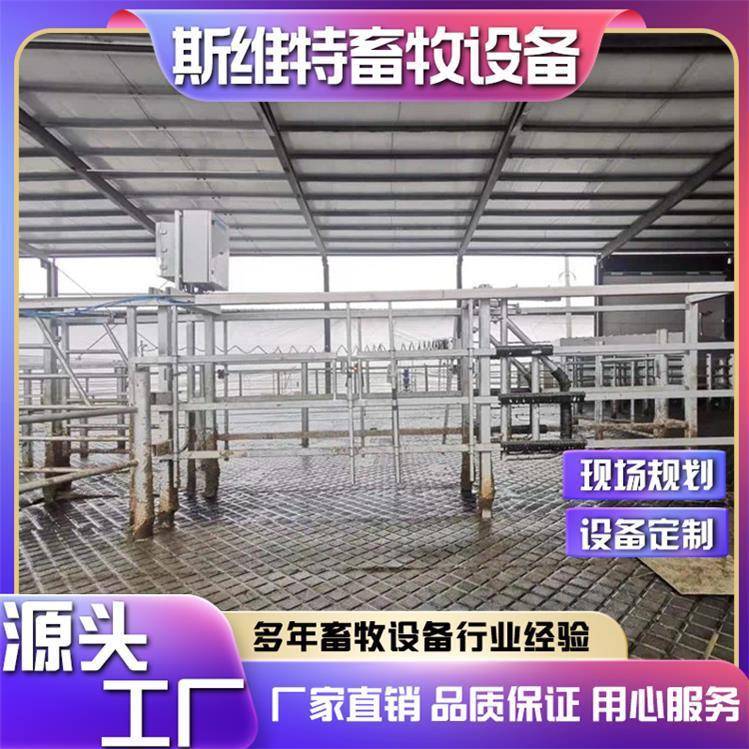 牛群分群门热镀锌材质养殖场智能分群管理系统减少人工提高效率