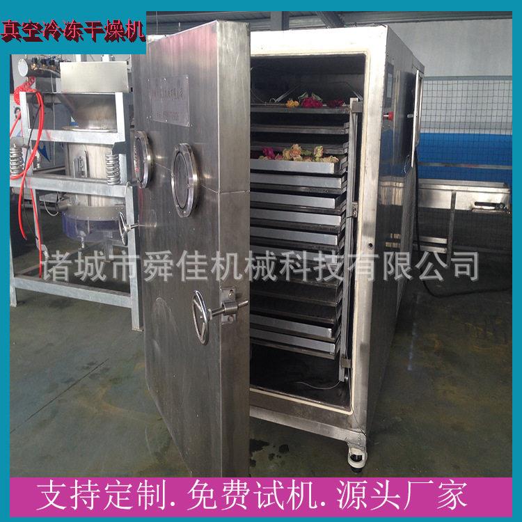 牛肝菌低温真空干燥机化学制品冻干设备对虾冷冻脱水冻干机