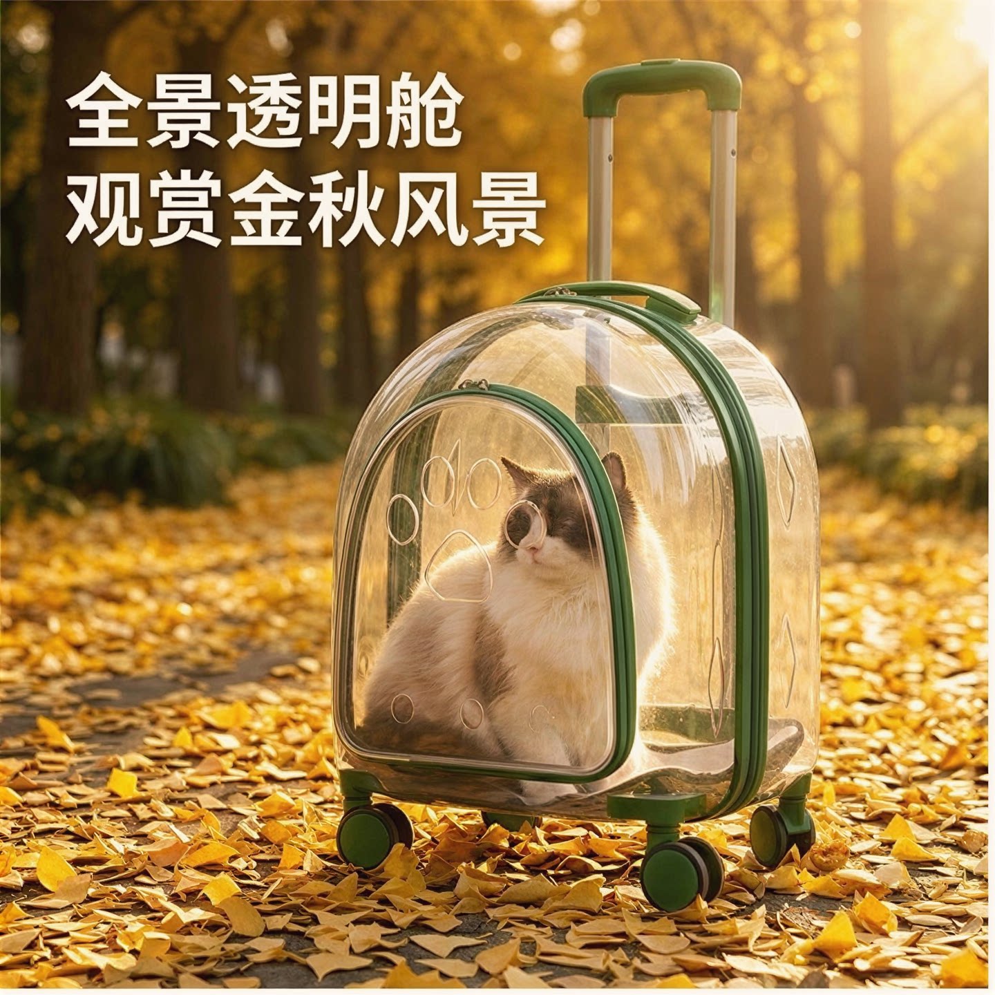 全景透明宠物拉杆包宠物外出包