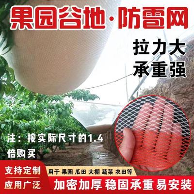 安惠防雹网加厚加密批发厂家直销