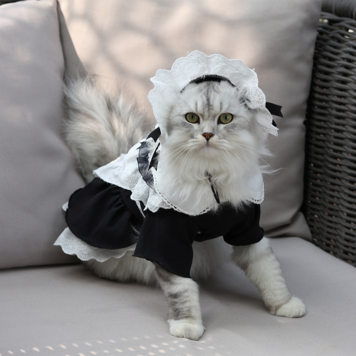 宠物猫咪中小女仆装春夏季cosplay制服变身装猫衣服裙子小狗衣服