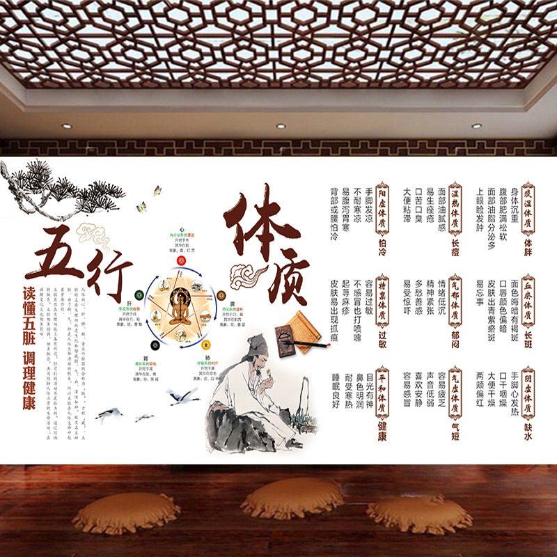 九种体质文化墙纸中医养生馆背景墙装饰壁画五行体质宣传展板壁纸
