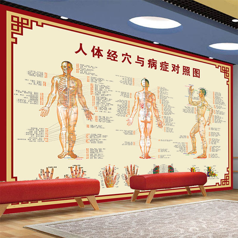 人体经穴与病症对照图墙纸中医诊所养生馆背景装饰画经络穴位壁纸