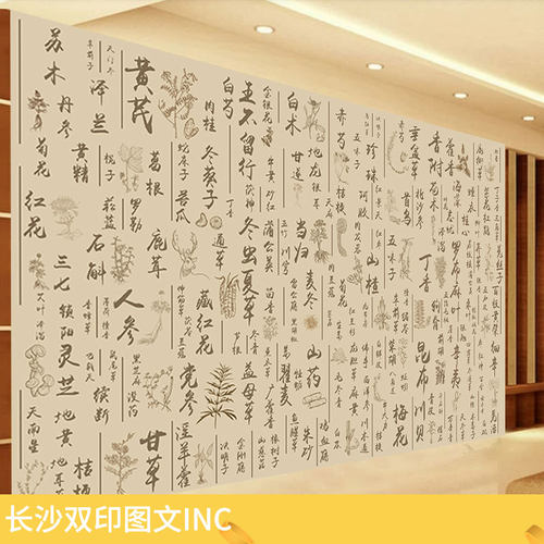 中药名大全墙纸中医文化形象壁画