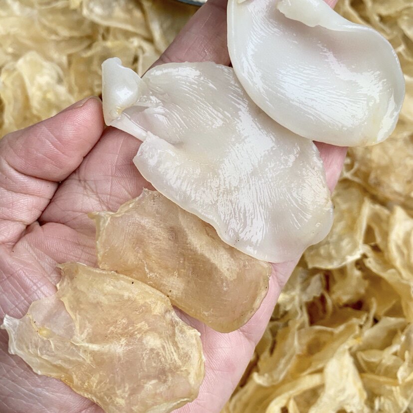 正品深海野生小米鱼胶陈年鸡蛋胶干货天然黄花胶孕妇滋补鱼鳔鱼肚
