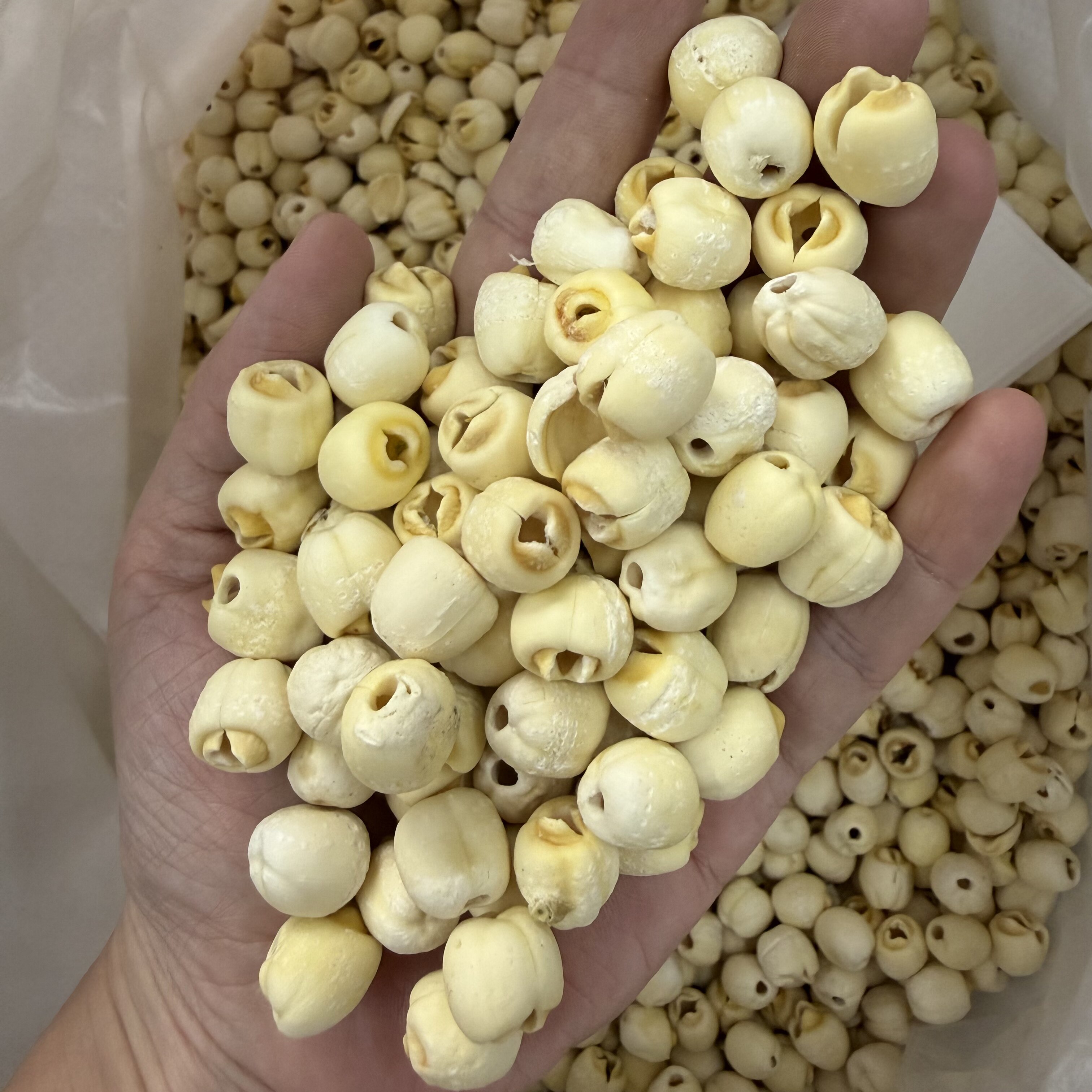 无硫白莲子银耳羹汤料粉粉糯糯