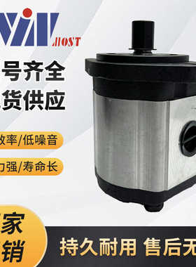 台湾峰昌WIN油泵 EG-PB-8/11/12/13/14/16/19 液压齿轮泵WINMOST