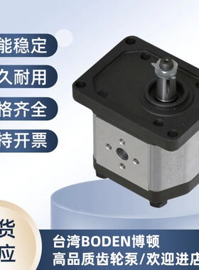 博顿油泵Boden齿轮泵BHP3B0 BHP3B1 BHP3A0 BHP3A1 BHM3B1液压泵