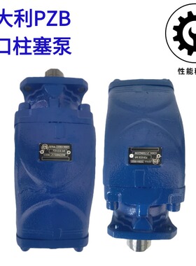 意大利PZB斜轴柱塞泵 Y60/84R 317008422W0 环卫钩臂车专用油泵64